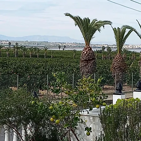 Casa Azahar, With Beautiful View On The Orange Groove And Pink Salt