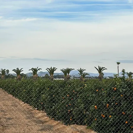 Casa Azahar, With Beautiful View On The Orange Groove And Pink Salt Holiday home