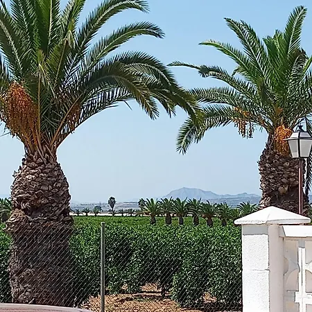 Casa Azahar, With Beautiful View On The Orange Groove And Pink Salt Torrevieja