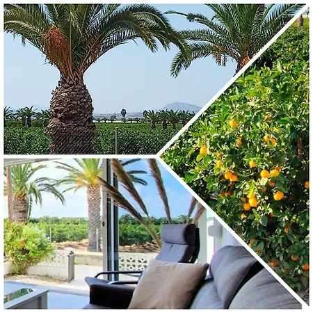 Casa Azahar, With Beautiful View On The Orange Groove And Pink Salt Holiday home *